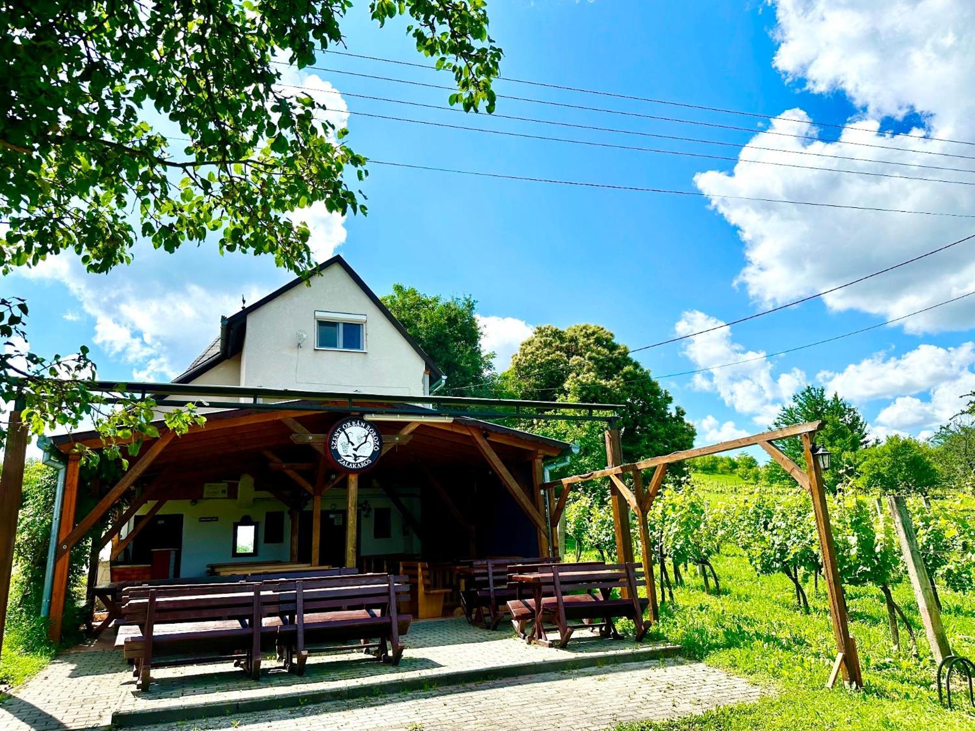 Szent Orban Panzio - Kutyabarat Apartmanok Zalakaros Bagian luar foto