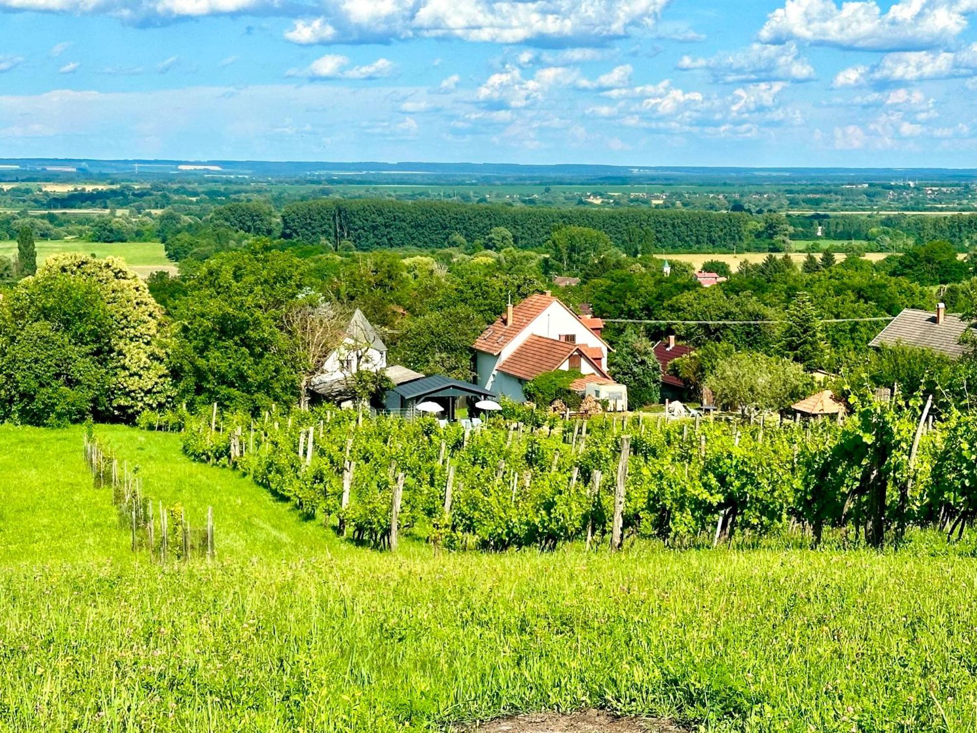 Szent Orban Panzio - Kutyabarat Apartmanok Zalakaros Bagian luar foto