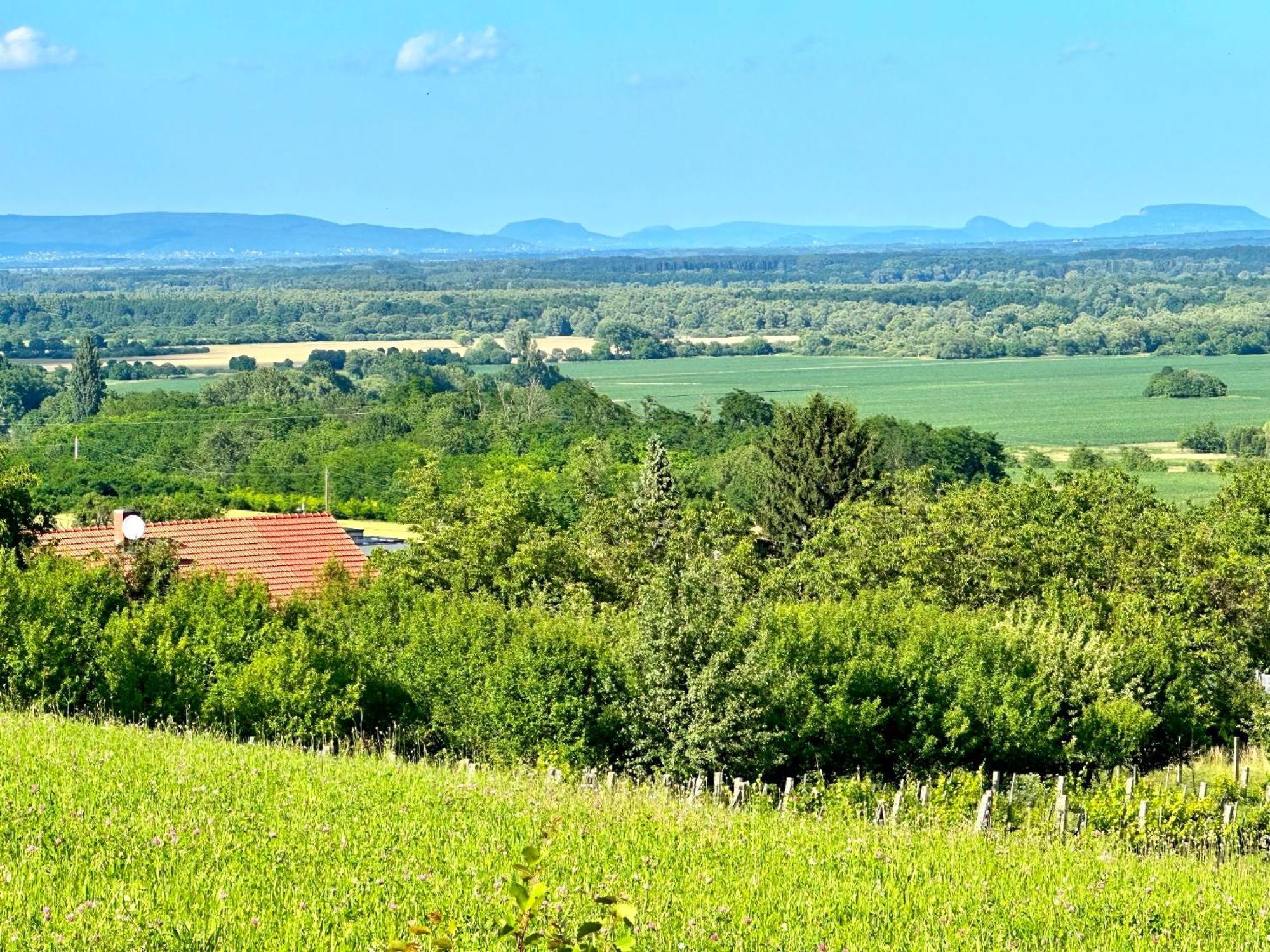 Szent Orban Panzio - Kutyabarat Apartmanok Zalakaros Bagian luar foto